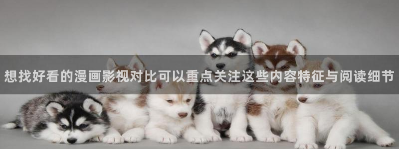 漫画岛漫画网:想找好看的漫画影视对比可以重点关注这些内容特征与阅读细节