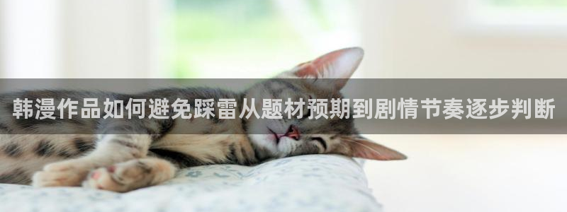 漫画岛阅读网页:韩漫作品如何避免踩雷从题材预期到剧情节奏逐步判断
