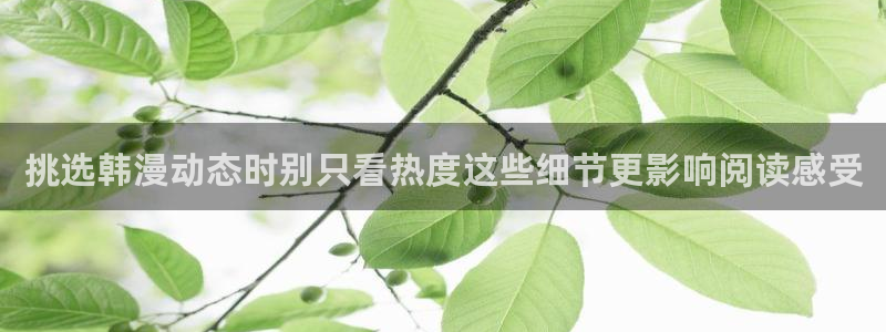 漫画岛网页入口导航
