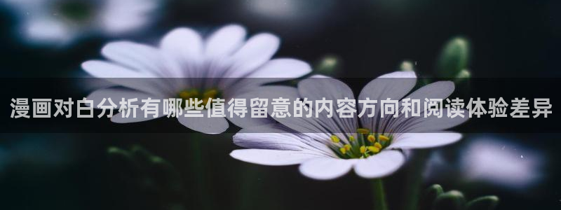 漫画岛漫画网页