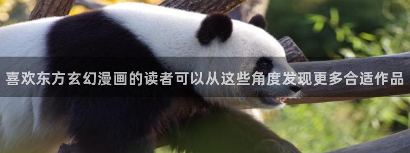 漫画岛网页入口