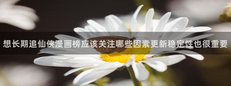 漫画岛在线阅读导航
